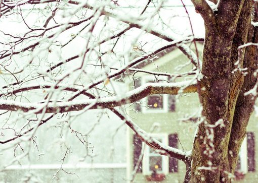 浪漫冬天雪景图片(7)