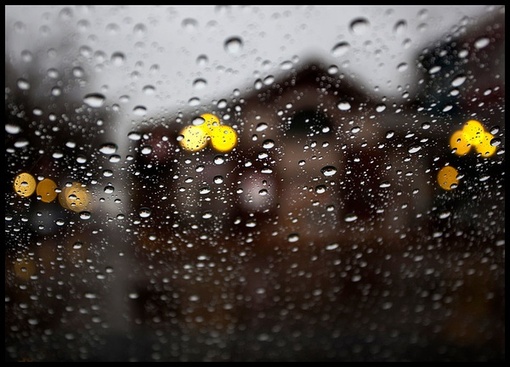 	雨滴唯美意境图片(3)