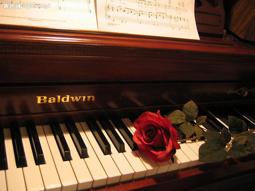钢琴与玫瑰的唯美图片