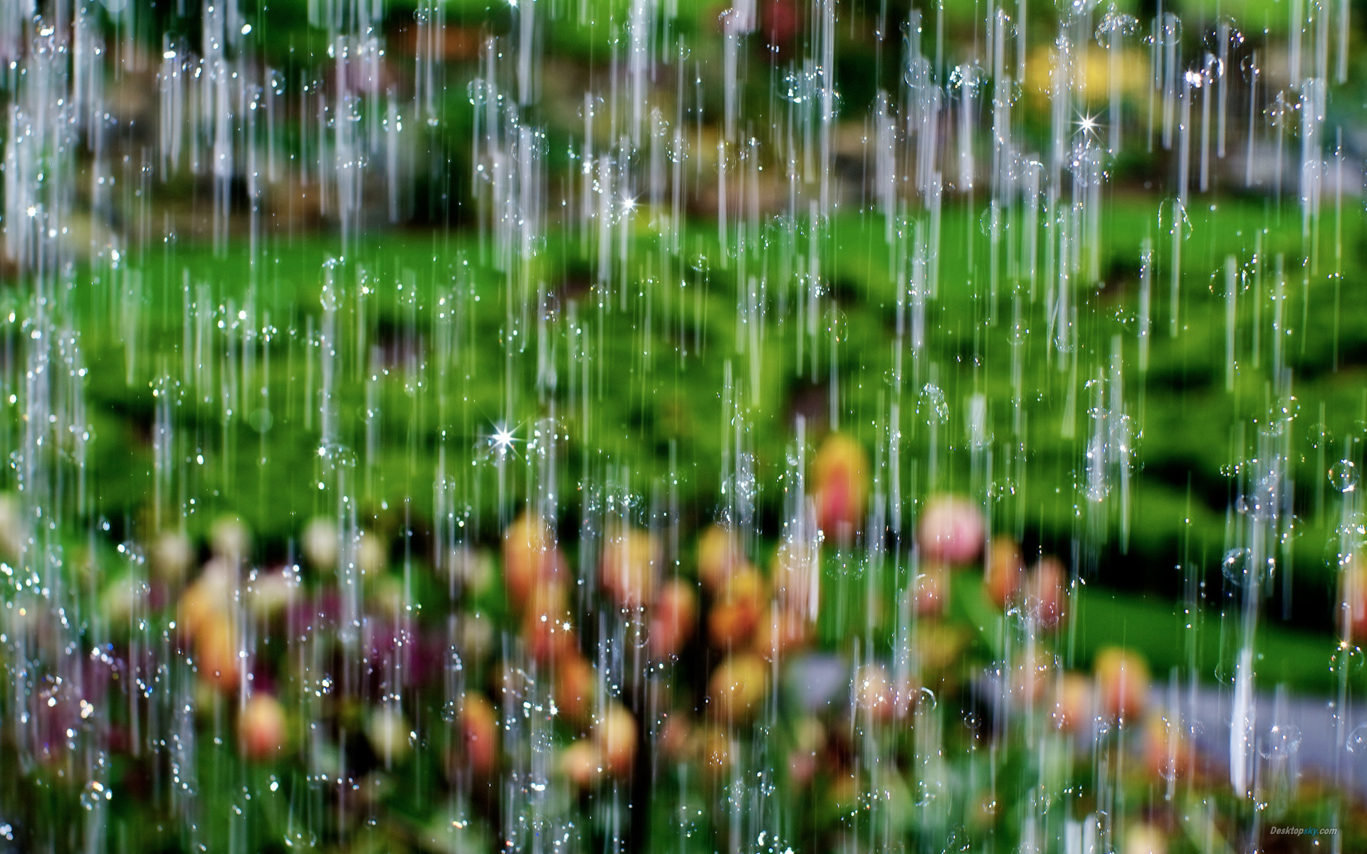 有关下雨的唯美图片(5)