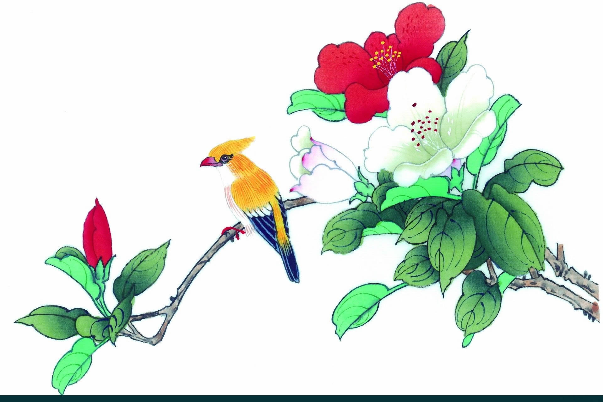 手绘花鸟植物彩色水墨画高清壁纸(2)
