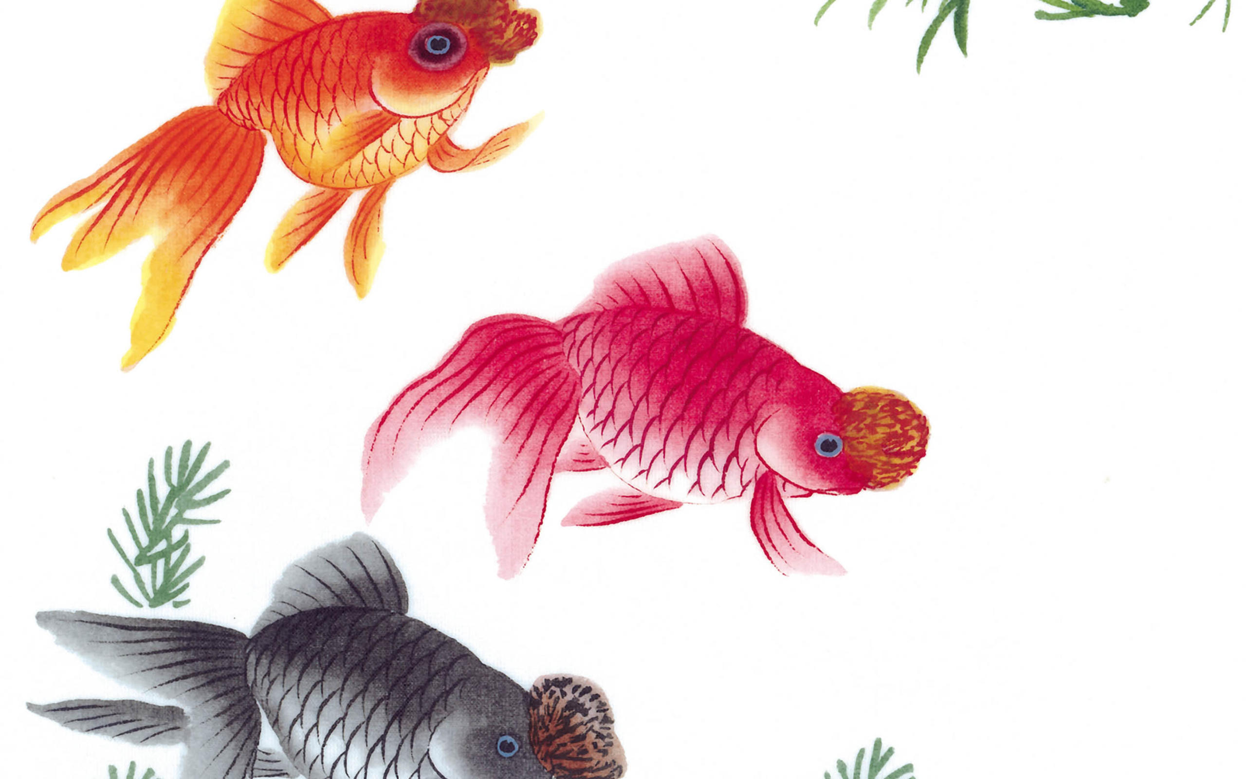 鱼戏叶南北 金鱼水墨画图片(2)