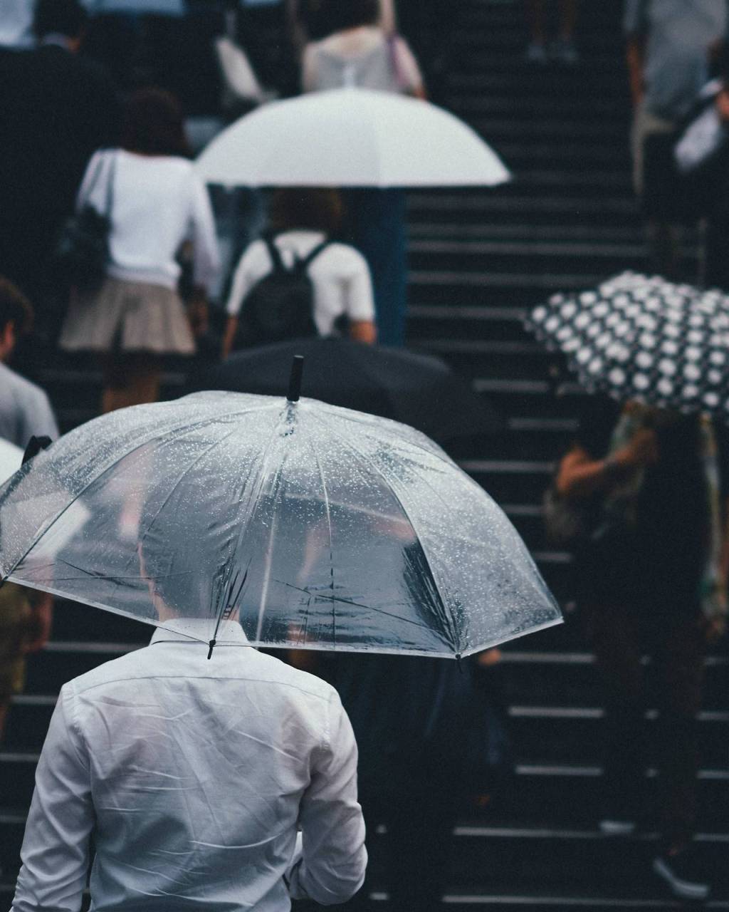 雨天图片唯美打伞 被雨困住的城市(4)