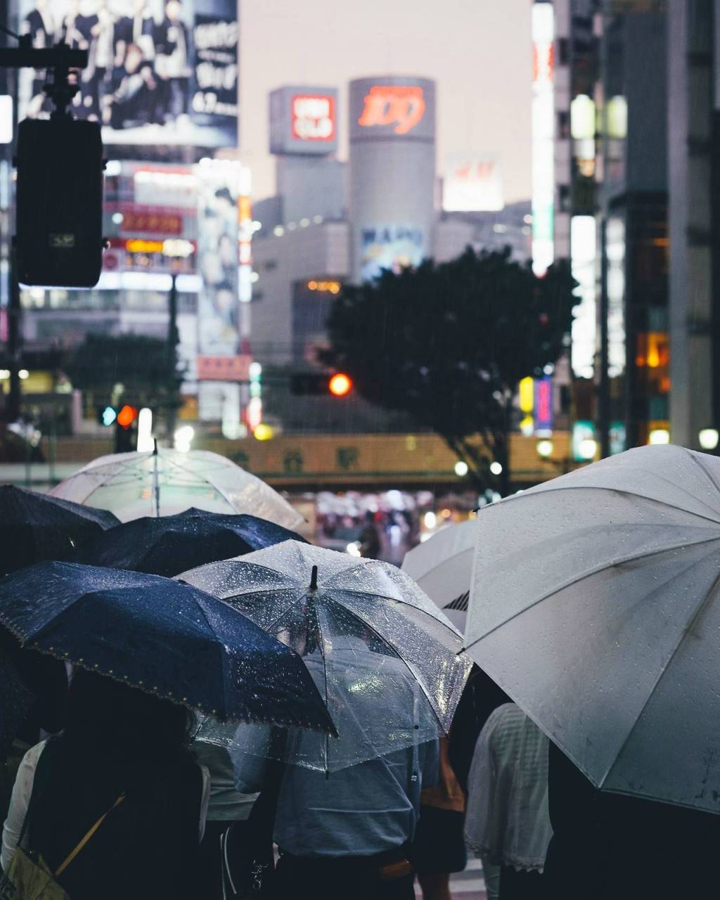 雨天图片唯美打伞 被雨困住的城市(3)