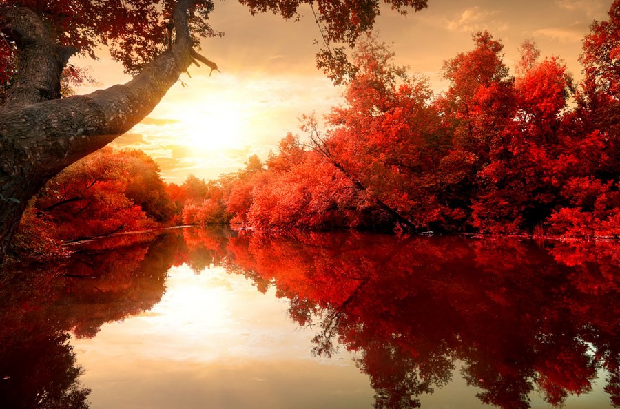 红叶图片大全 最美的红叶风景图片(3)
