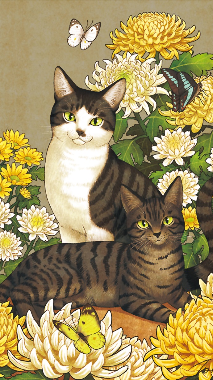 猫咪插画高清壁纸 关于猫的可爱插画(3)