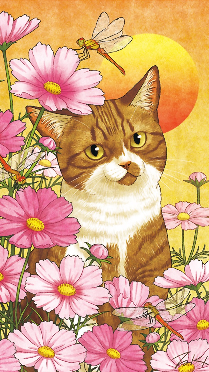 猫咪插画高清壁纸 关于猫的可爱插画(4)
