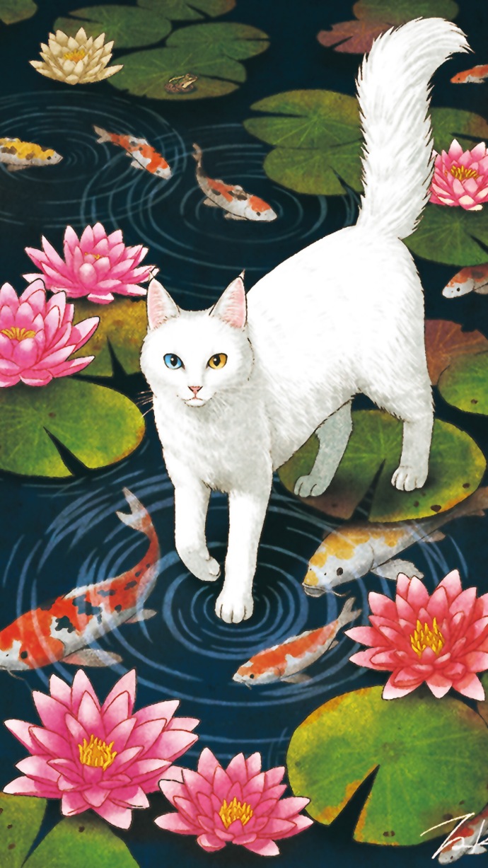猫咪插画高清壁纸 关于猫的可爱插画(5)