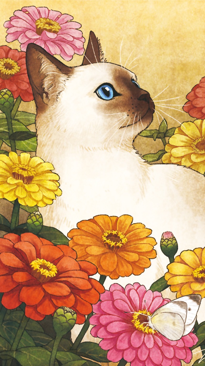 猫咪插画高清壁纸 关于猫的可爱插画(7)