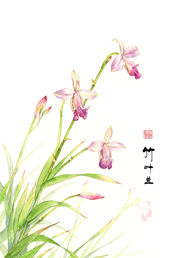 唯美水彩花卉图片 简单唯美的水彩画(7)