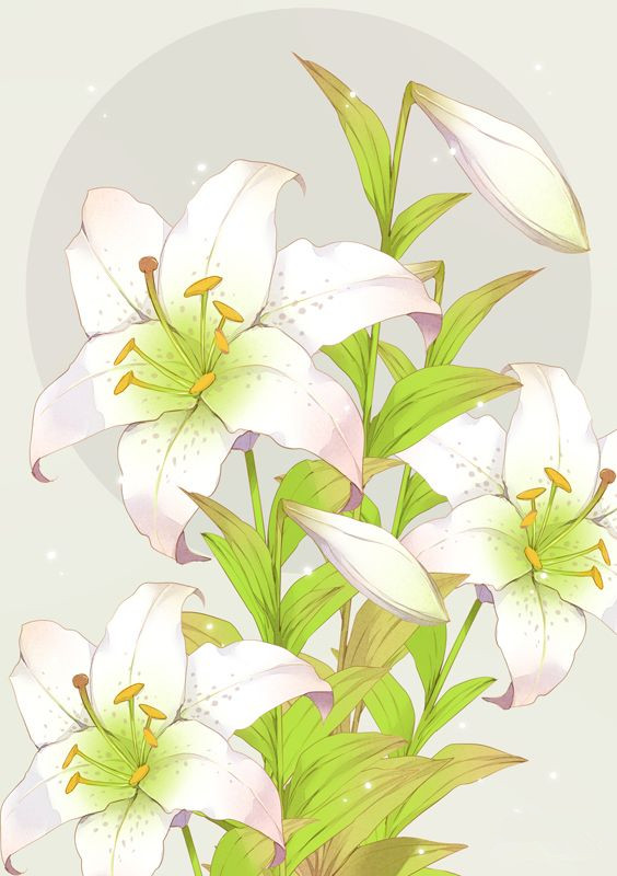 水彩花卉图片大全 简单水彩花卉图片(8)