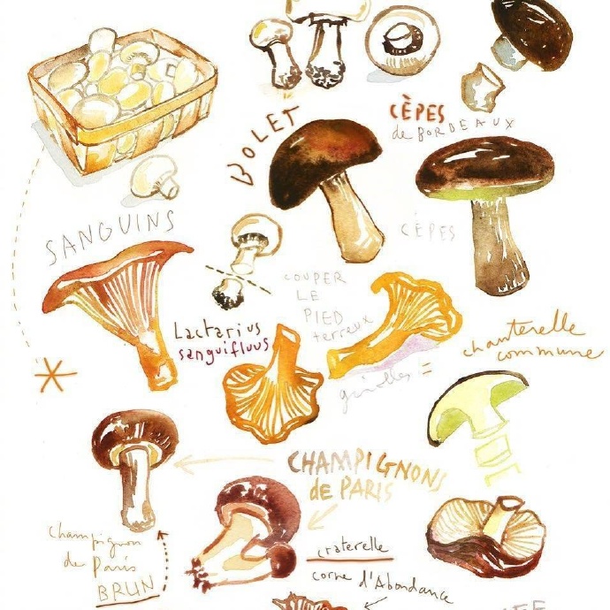 手绘日记简单小图案 随手画的食物可爱小图案(7)