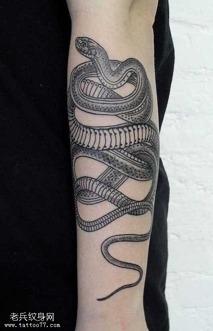 纹身蛇图案高清大全