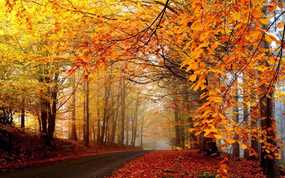 秋天迷人的自然风景电脑桌面壁纸