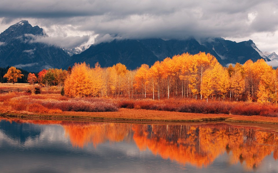 金色秋季风景高清桌面壁纸