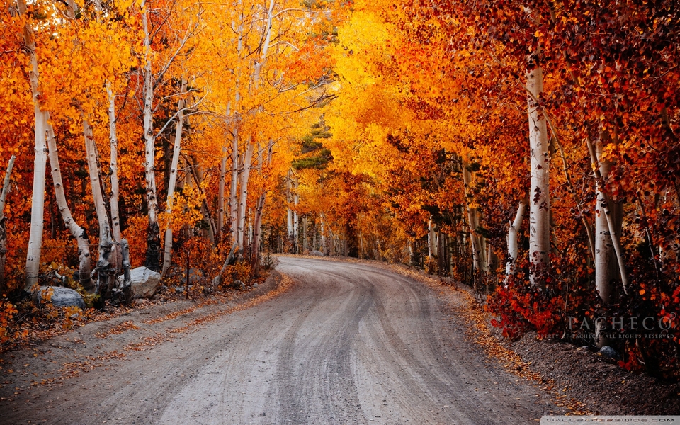 窒息的美秋冬壁纸风景图片