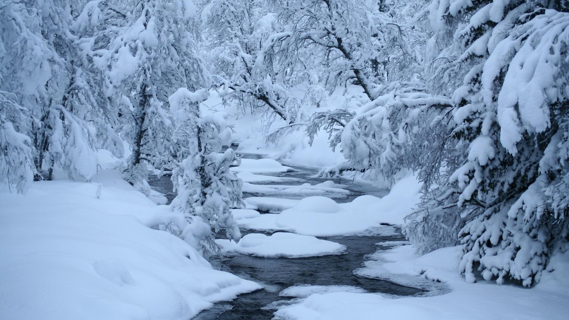 雪景壁纸 精选好看的自然风景冬天雪景高清电脑桌面壁纸下载5p