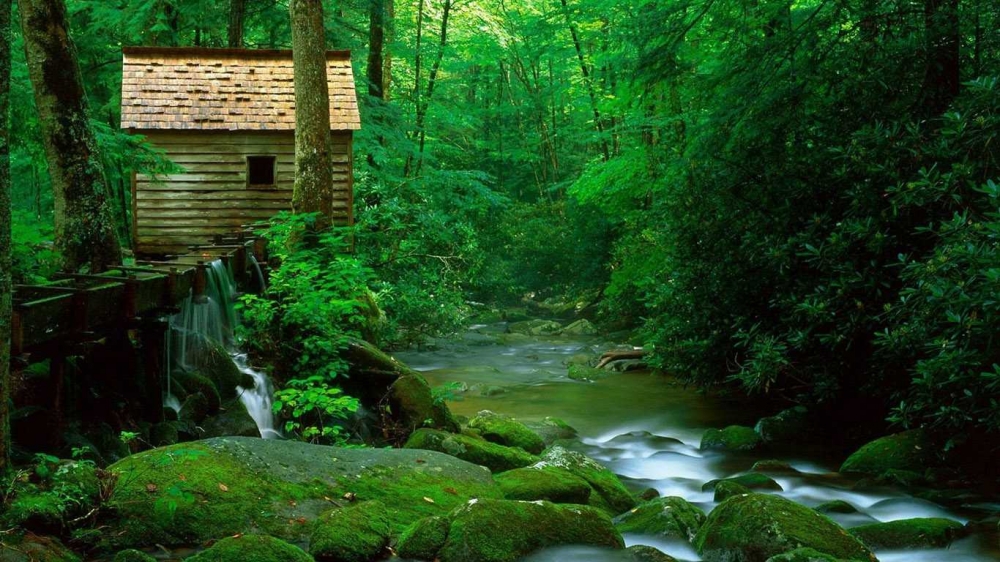 森林里的小木屋清凉一夏壁纸