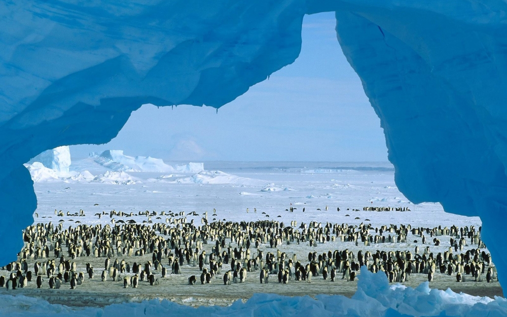 南极风景 南极风景图片