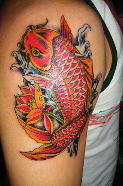 红色大鲤鱼纹身图片 落在大臂上红色大鲤鱼纹身很抢眼