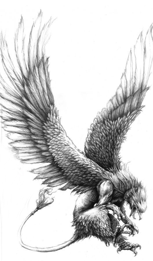 展翅高飞的黑灰色点刺动物老鹰纹身手稿