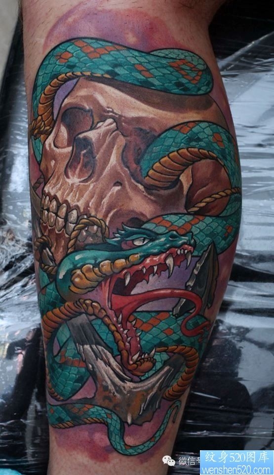 一组tattoo十二生肖の蛇纹身图案
