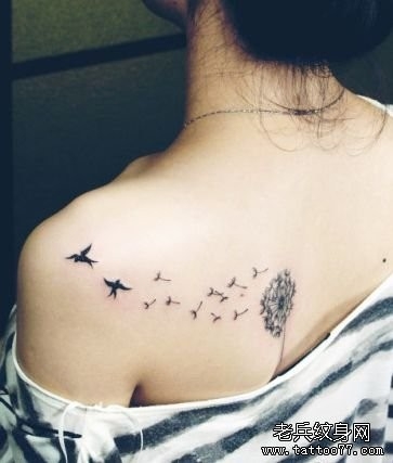 女人肩背小清新蒲公英与小燕子纹身图片