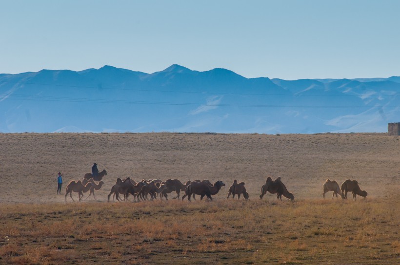 新疆天山牧场风景图片 风景图片
