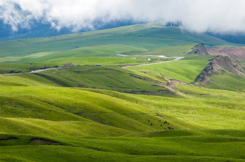 新疆天山牧场风景图片 风景图片(5)