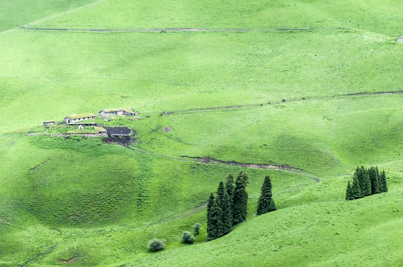 新疆天山牧场风景图片 风景图片(7)