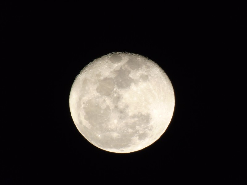 皎洁的月亮图片 风景图片(5)