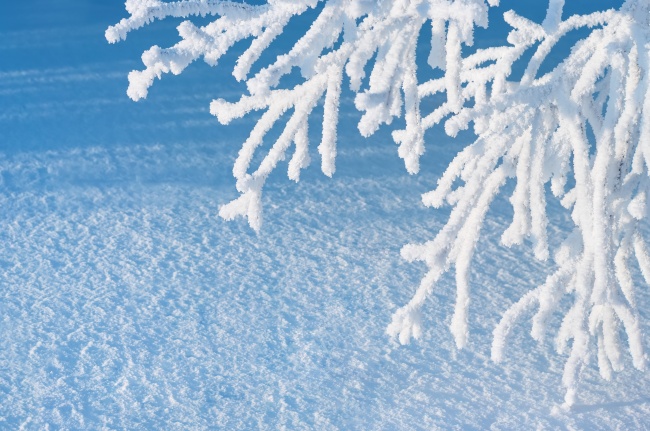 冬季雪景图片下载