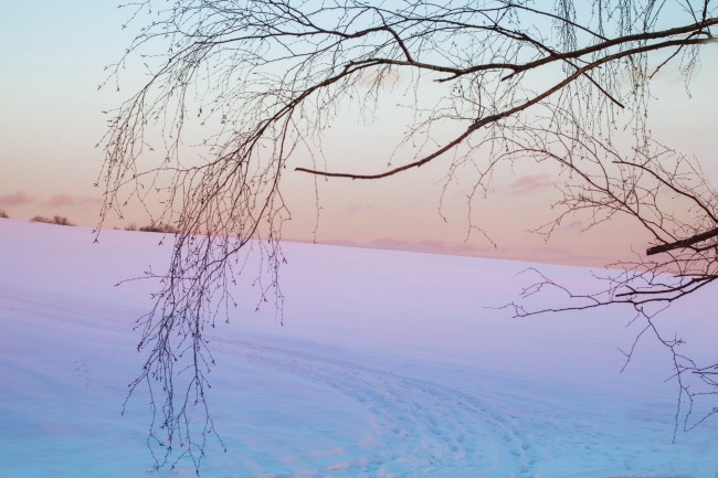 冬日摄影雪景图片