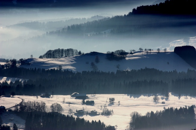 迷雾森林雪景图片