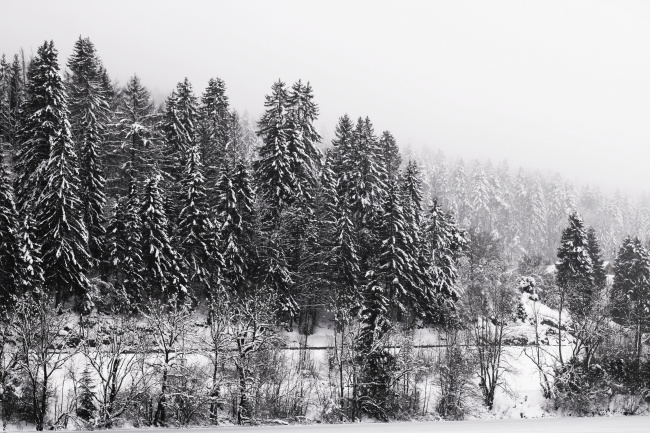冬季雪山景观黑白图片
