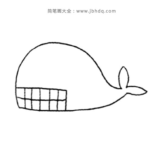 海洋生物 大白鲸(2)