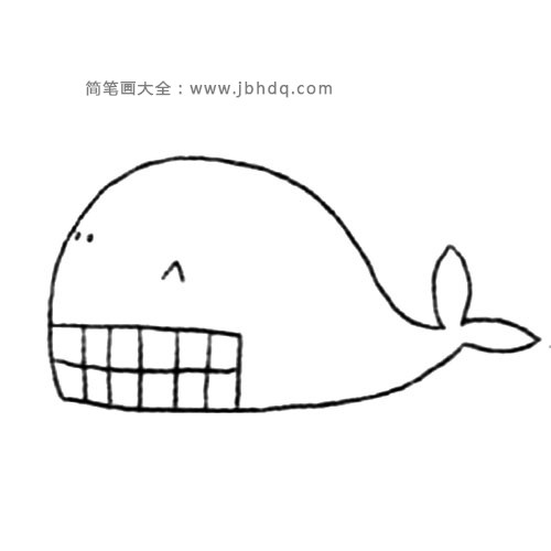 海洋生物 大白鲸(3)