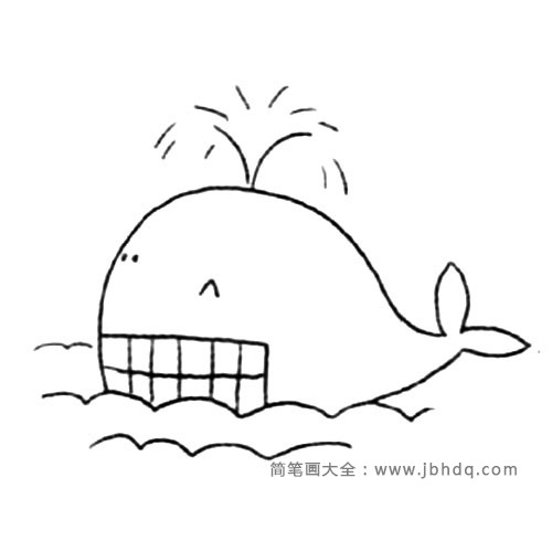 海洋生物 大白鲸(4)