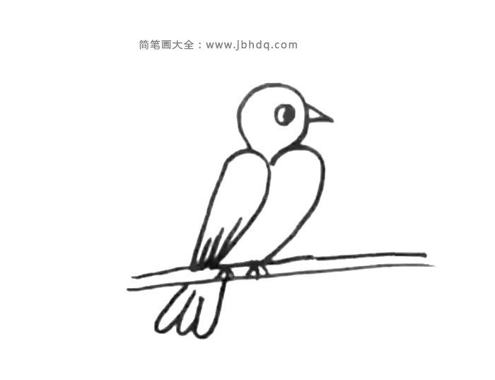 两张超简单的小鸟简笔画画法