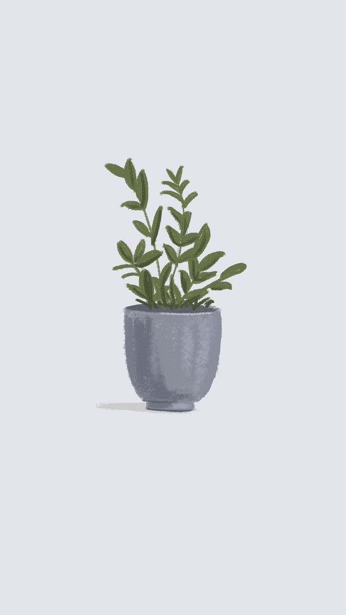 简约小清新植物插画壁纸图片(7)