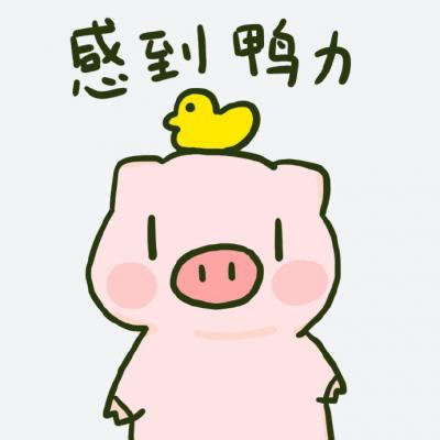 2019可爱呆萌粉色卡通猪头像
