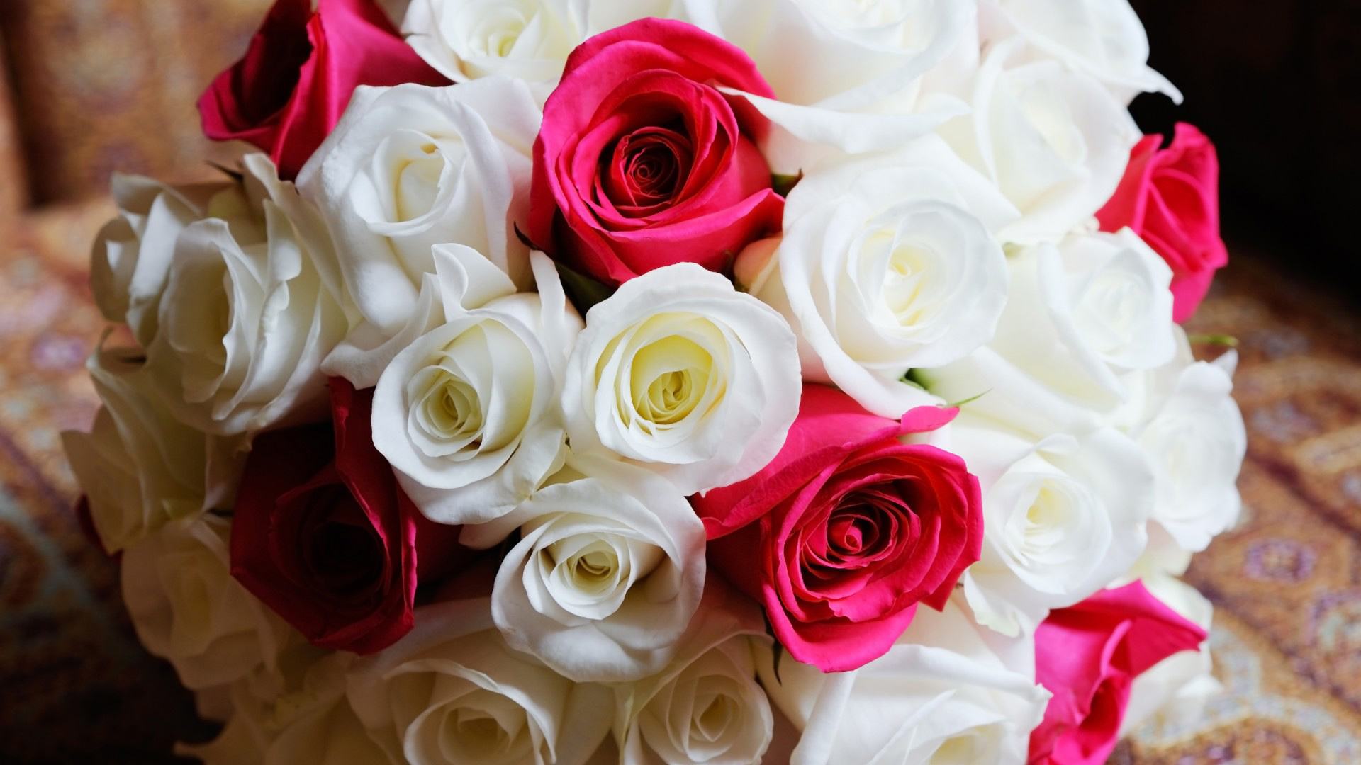 玫瑰花的图片唯美   大朵玫瑰精致清晰图片(5)