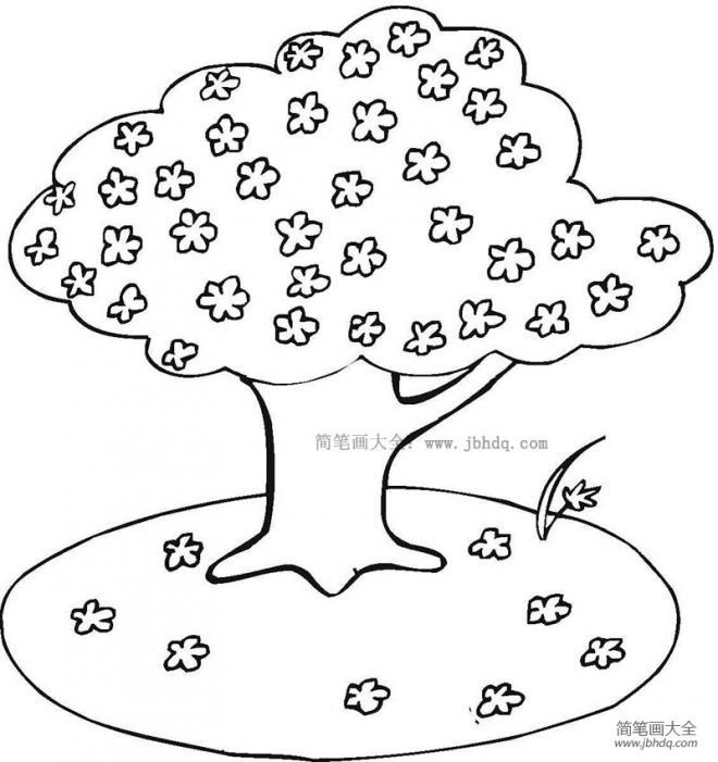 盛开的手绘樱花树简笔画教程图片(4)