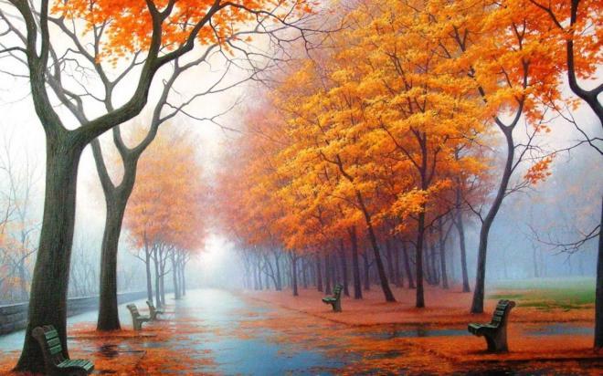 唯美意境秋景森林图片_温暖的秋色最迷人(5)
