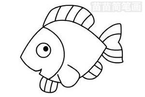 卡通动物热带鱼简笔画图片大全、教程(4)