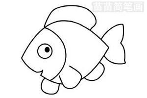 卡通动物热带鱼简笔画图片大全、教程(3)