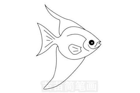 卡通动物热带鱼简笔画图片大全、教程(6)
