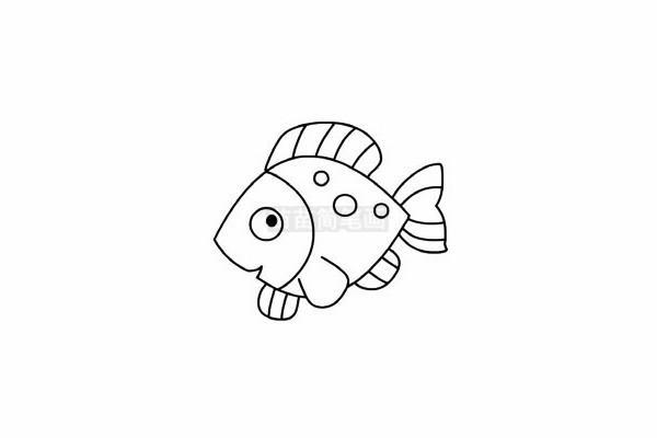卡通动物热带鱼简笔画图片大全、教程(5)