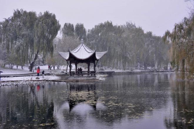 北京雪中陶然亭公园唯美风景图片(5)