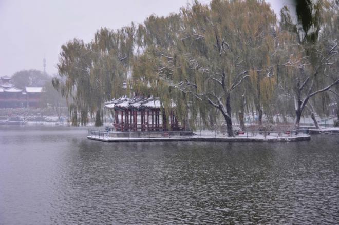 北京雪中陶然亭公园唯美风景图片(4)